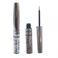 Long Lasting Waterproof Quick Dry Liquid Eyeliner for Dailyuse