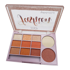 9 color eyeshadow plus 2color highlighter natural glitter makeup set