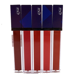 New arrival OEM nourish matte long-lasting makeup lipgloss