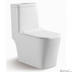 RS111 ceramic washdown one-piece toilet