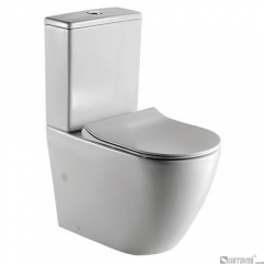 ME521 ceramic washdown two-piece toilet