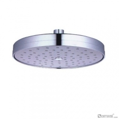 DP1013 head shower