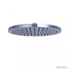 DP1022 head shower