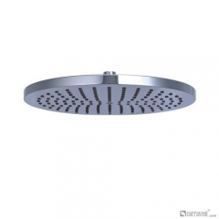 DP1021 head shower