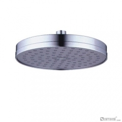 DP1012 head shower