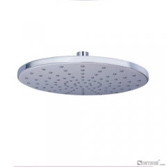 DP1001 head shower