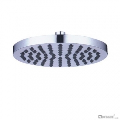 DP1009 head shower