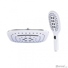 DS1020 head shower