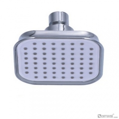 DP1043 head shower