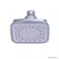 DP1046 head shower