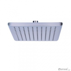 DP1039 head shower