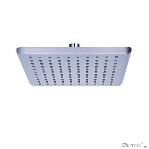 DP1039 head shower