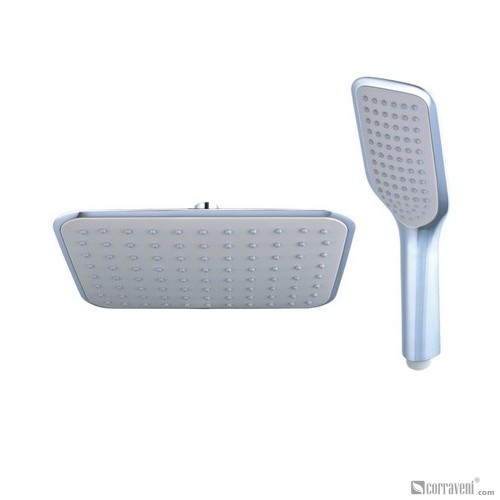 DS1029 head shower