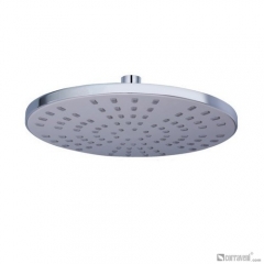 DP1002 head shower