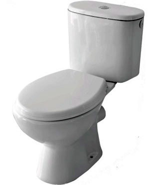 NR1421C2R ceramic washdown two-piece toilet