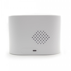 Sunrise Alarm Clock with Wireless Speaker & White Noise