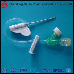 Detaining Needle/IV Catheter with Injection Type Disposable Safety