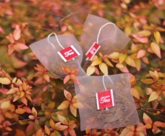 Popular PLA Corn Fiber Empty Biodegradable Pyramid Tea Bag With String and Tag