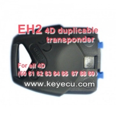 EH2 4D electron duplicable head
