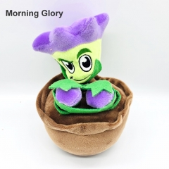 Morning Glory