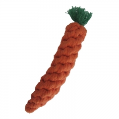 Carrot