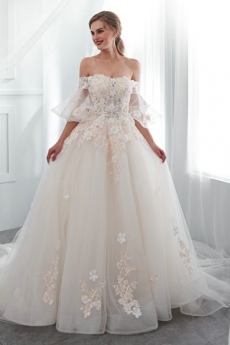 Short Sleeves Ball Gown Wedding Dresses with Lace Appliques