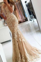 Sexy Illusion Neck Mermaid Lace Dress with Sleeves