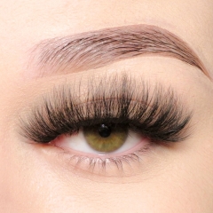 Covergirl（20mm Silk）