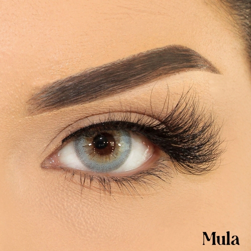 Mula（18mm Mink）