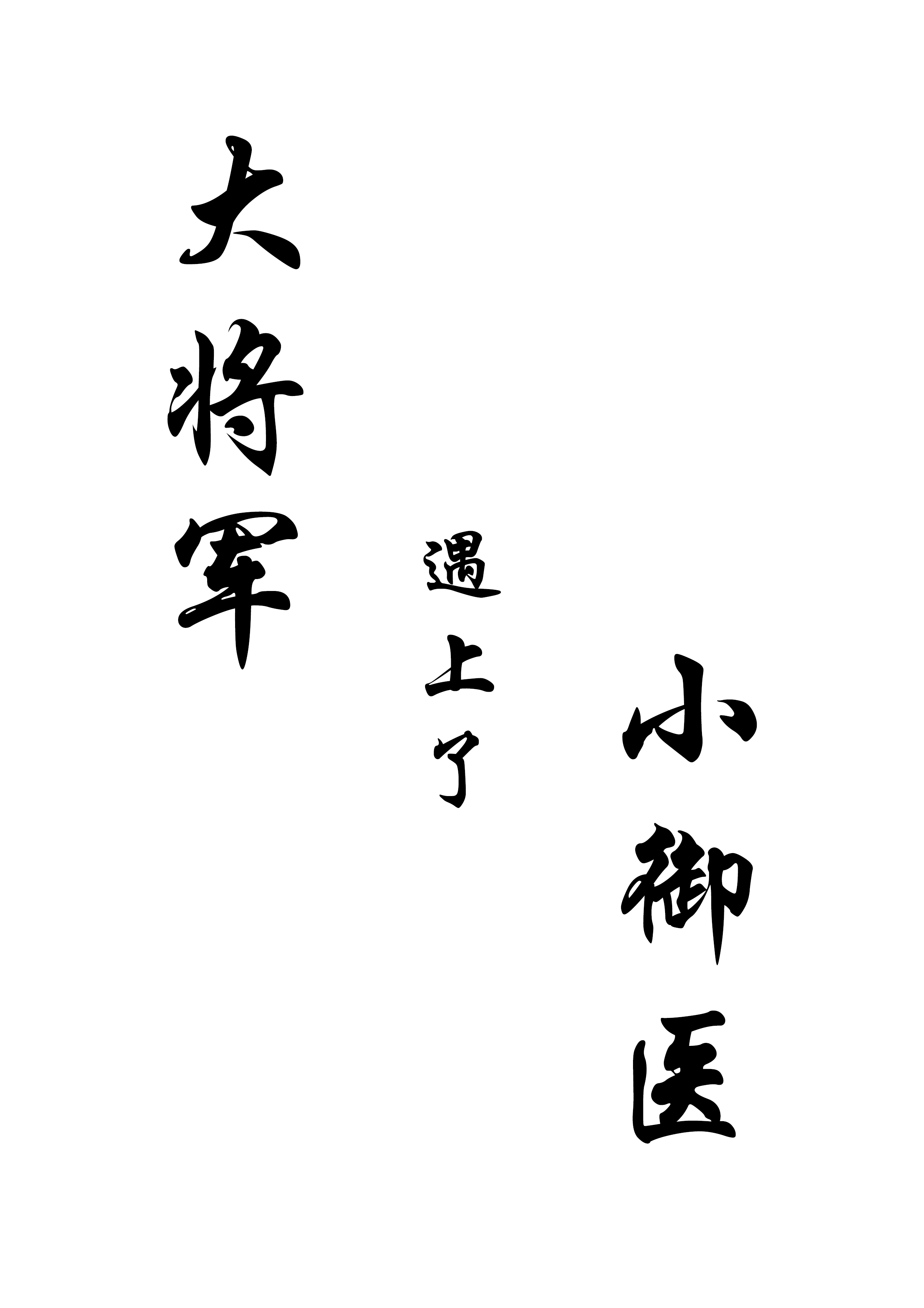 大将军遇上了小御医