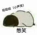 总监大人想让我告白