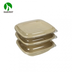 48 oz Eco friendly disposable pulp catering clear large salad bowls