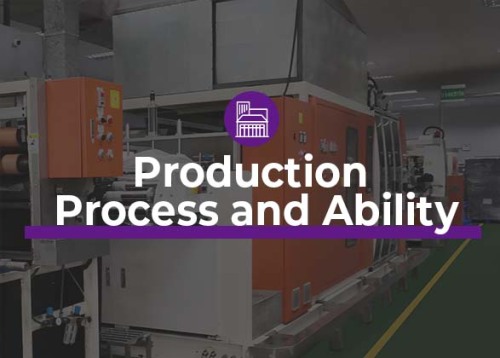 Production Process &amp; Ability