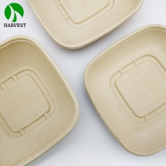 32 oz Sugarcane bagasse bamboo takeaway square disposable food container