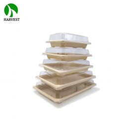 8 oz 一次性竹浆可降解寿司盒方形盒