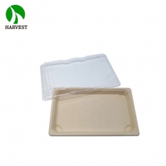 Harvest EG-2.0 Biodegradable Compostable Fiber Pulp Sushi Packaging