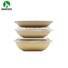 24 oz Square Biodegradable Clear Disposable Bagasse Sugarcane Plates