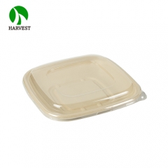 24 oz Square Biodegradable Clear Disposable Bagasse Sugarcane Plates