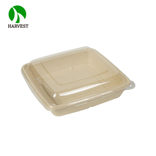 Bio disposable bento box lunch bamboo paper takeaway food container