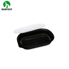 Eco friendly plastic disposable small bento lunch food packaging box