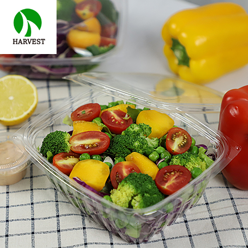 Harvest Disposable OPS Salad Cookies Fruit Bowl Container With Lid