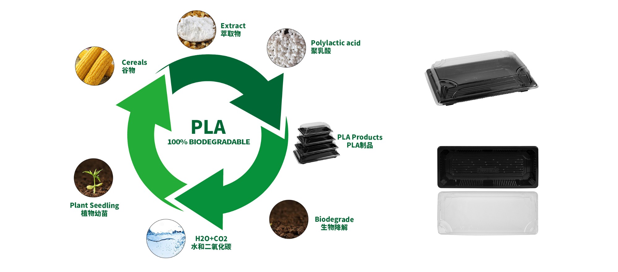 PLA is made of cornstarch extract, which can be decomposed and reused. The production of the process can reduce the electrictity consumption and carbon dioxide emission