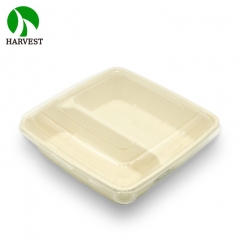 1000Ml 32Oz Square 2 Compartment Disposable Food Container For Restaurant