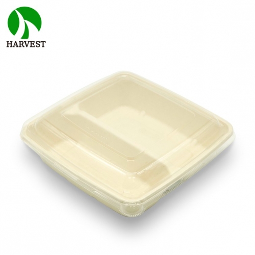 1000Ml 32Oz Square 2 Compartment Disposable Food Container For Restaurant