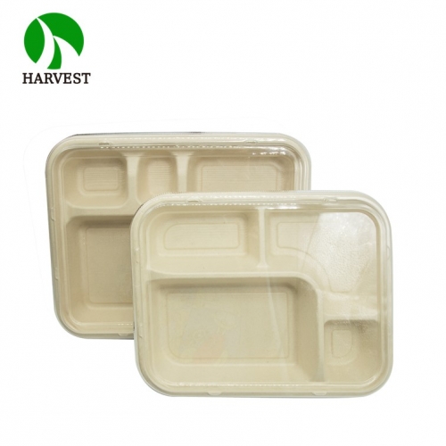 japanese bento box disposable 4 compartment