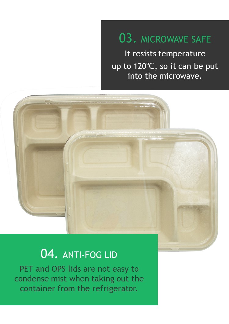 Japanese style 5 compartments sugarcane bagasse pulp disposable