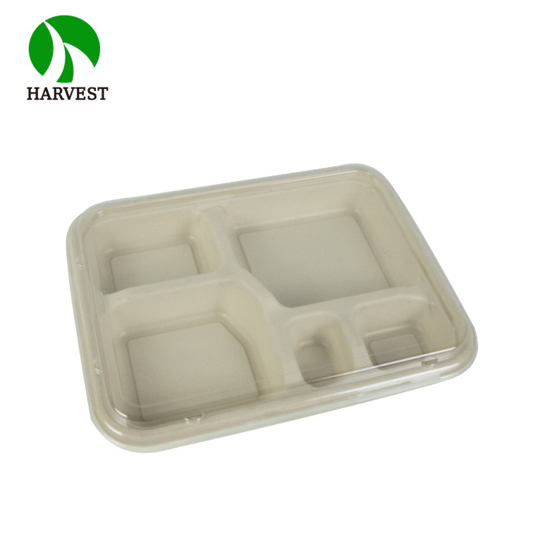 Japanese style 5 compartments sugarcane bagasse pulp disposable