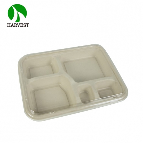 Japanese style 5 compartments sugarcane bagasse pulp disposable bento box