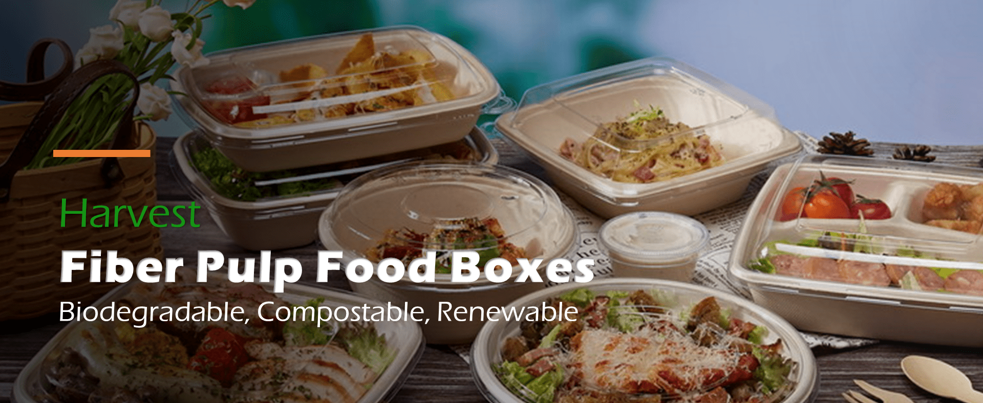 Fiber Pulp Food Boxes