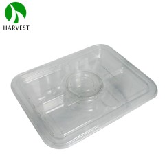 PET Recyclable 2-Layer Salad Container - HS Layer Series